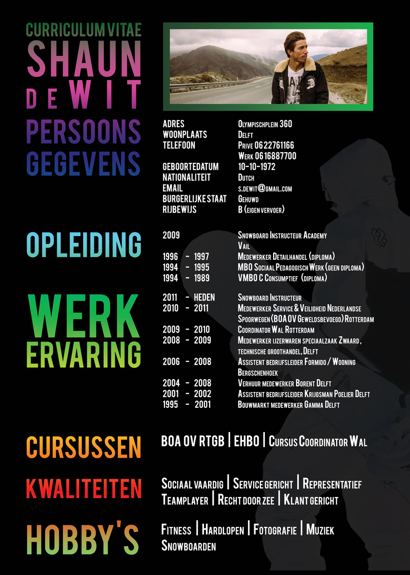 cv curriculum vitae Delft